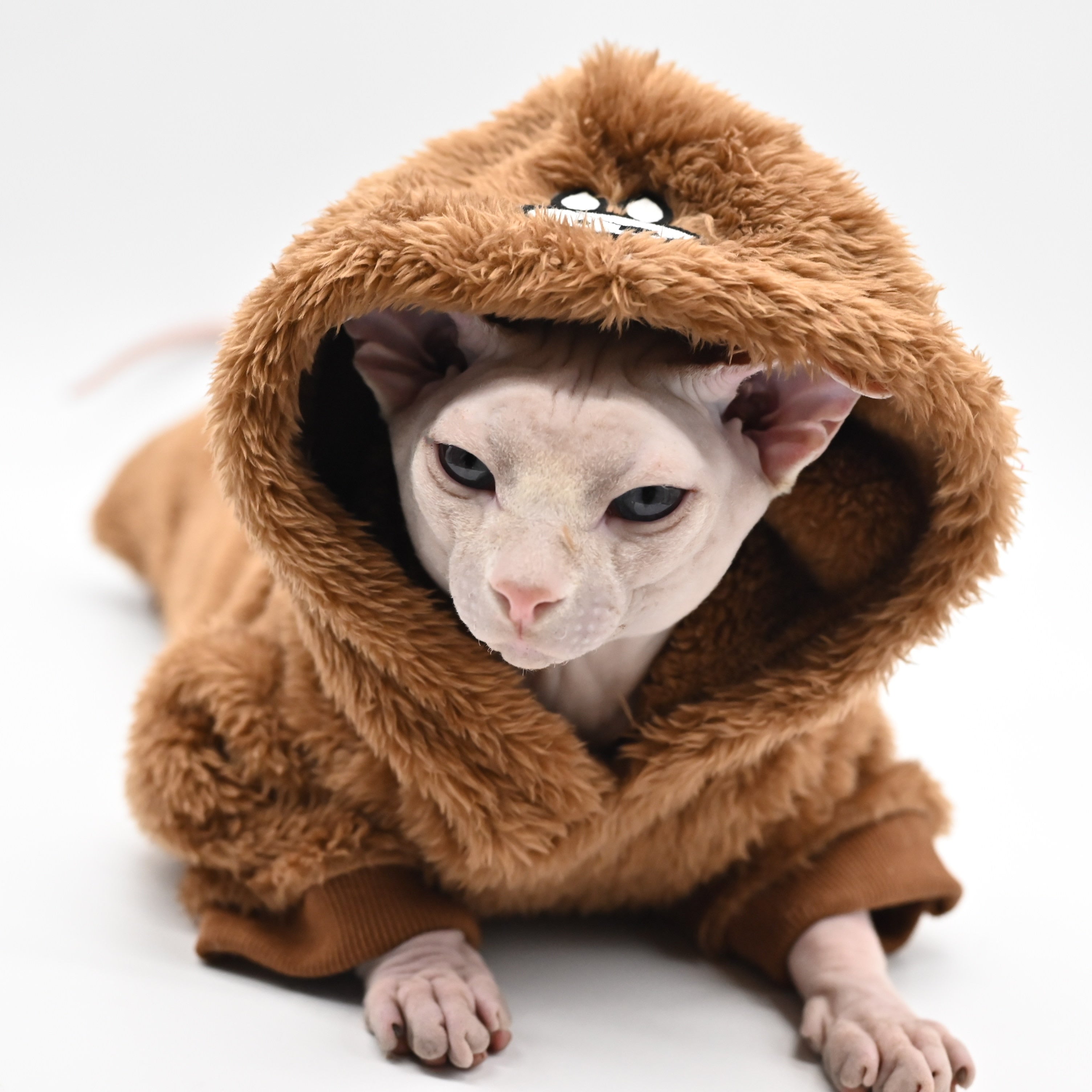 Soft Hoodie Clothes for Cats