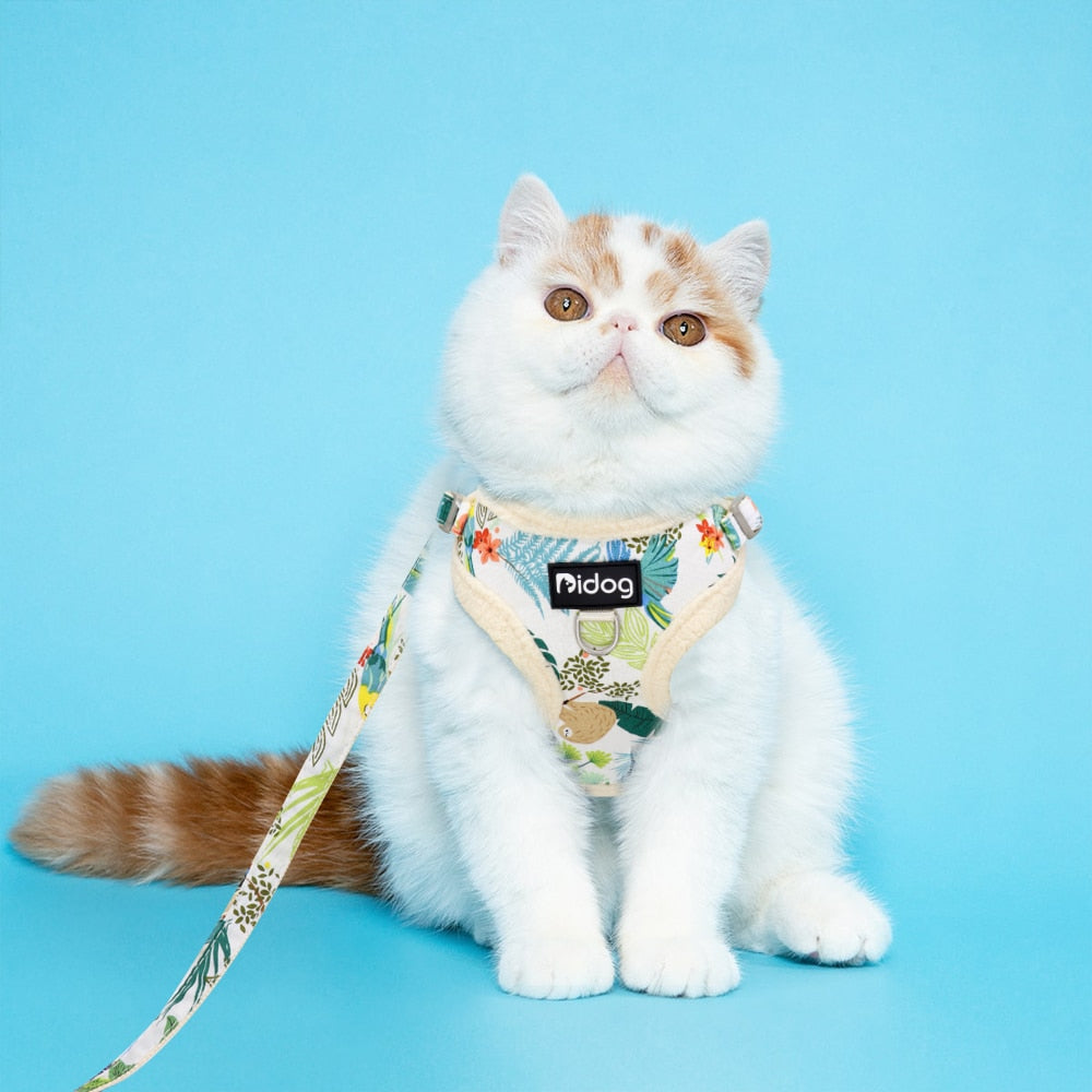 Soft Padded Cat Harness