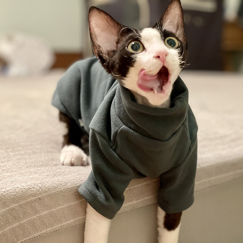 Sphynx Cat Clothes