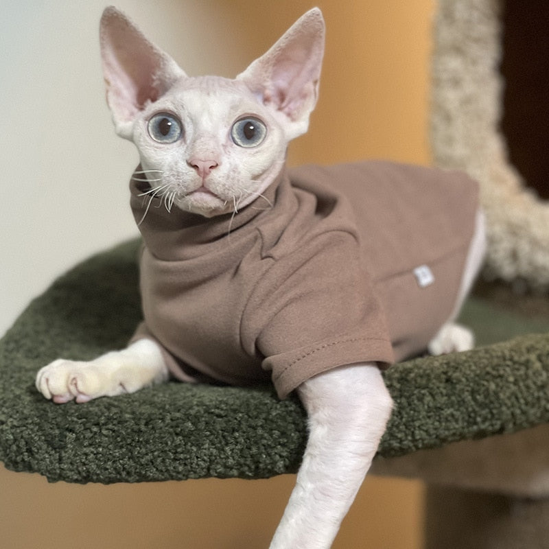 Sphynx Cat Clothes