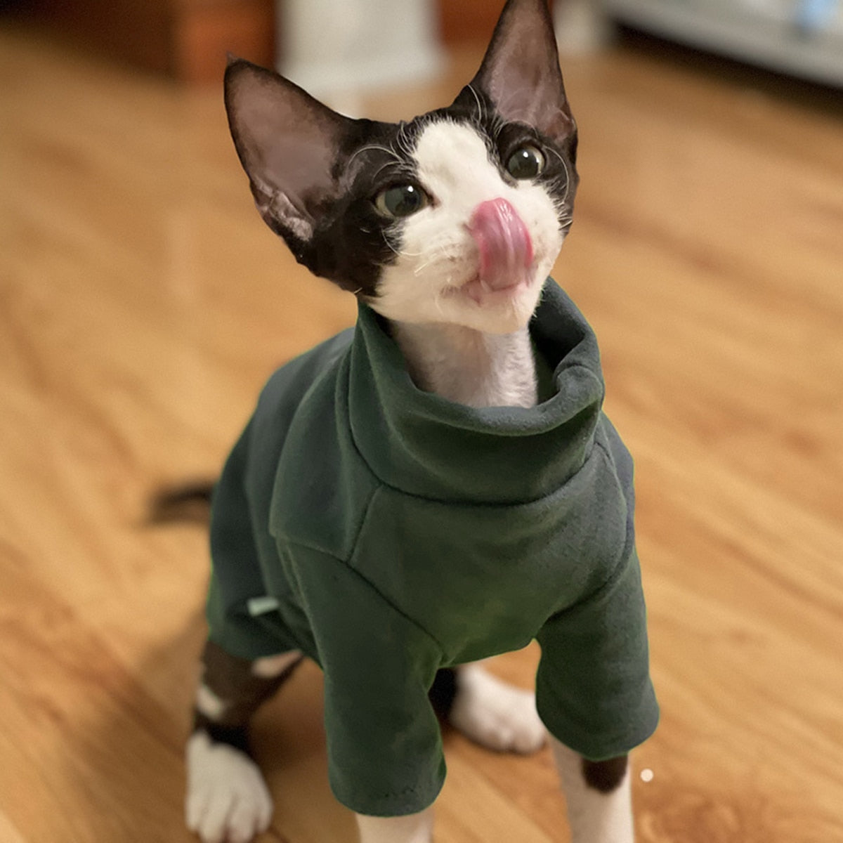 Sphynx Cat Clothes