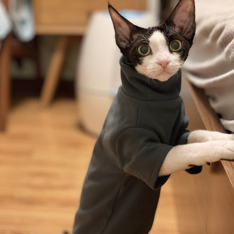 Sphynx Cat Clothes