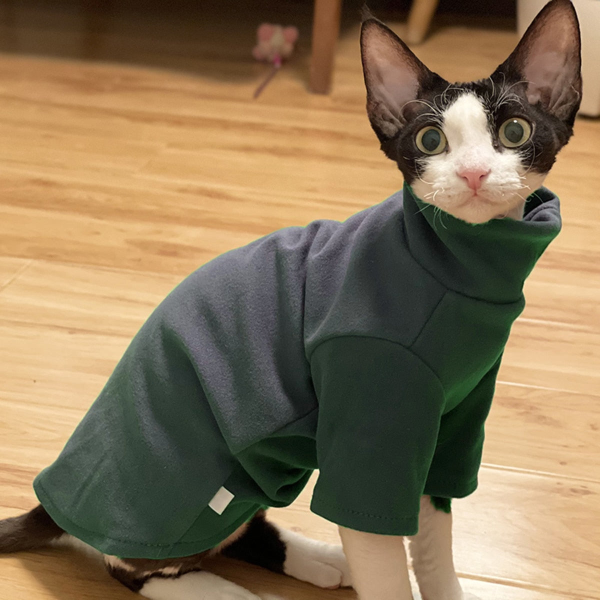 Sphynx Cat Clothes