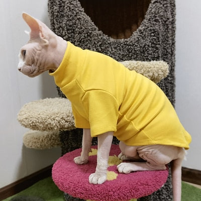 Sphynx Cat Clothes