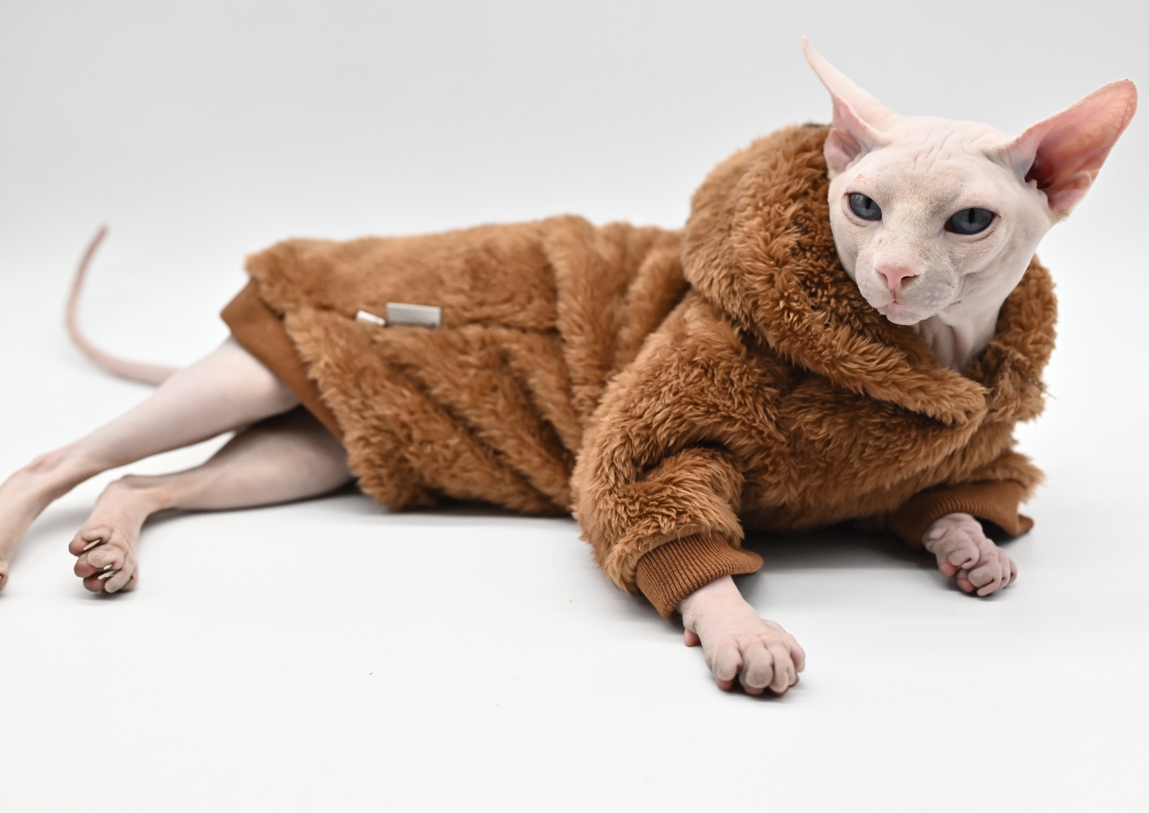 Sphynx Cat Sweater Clothes
