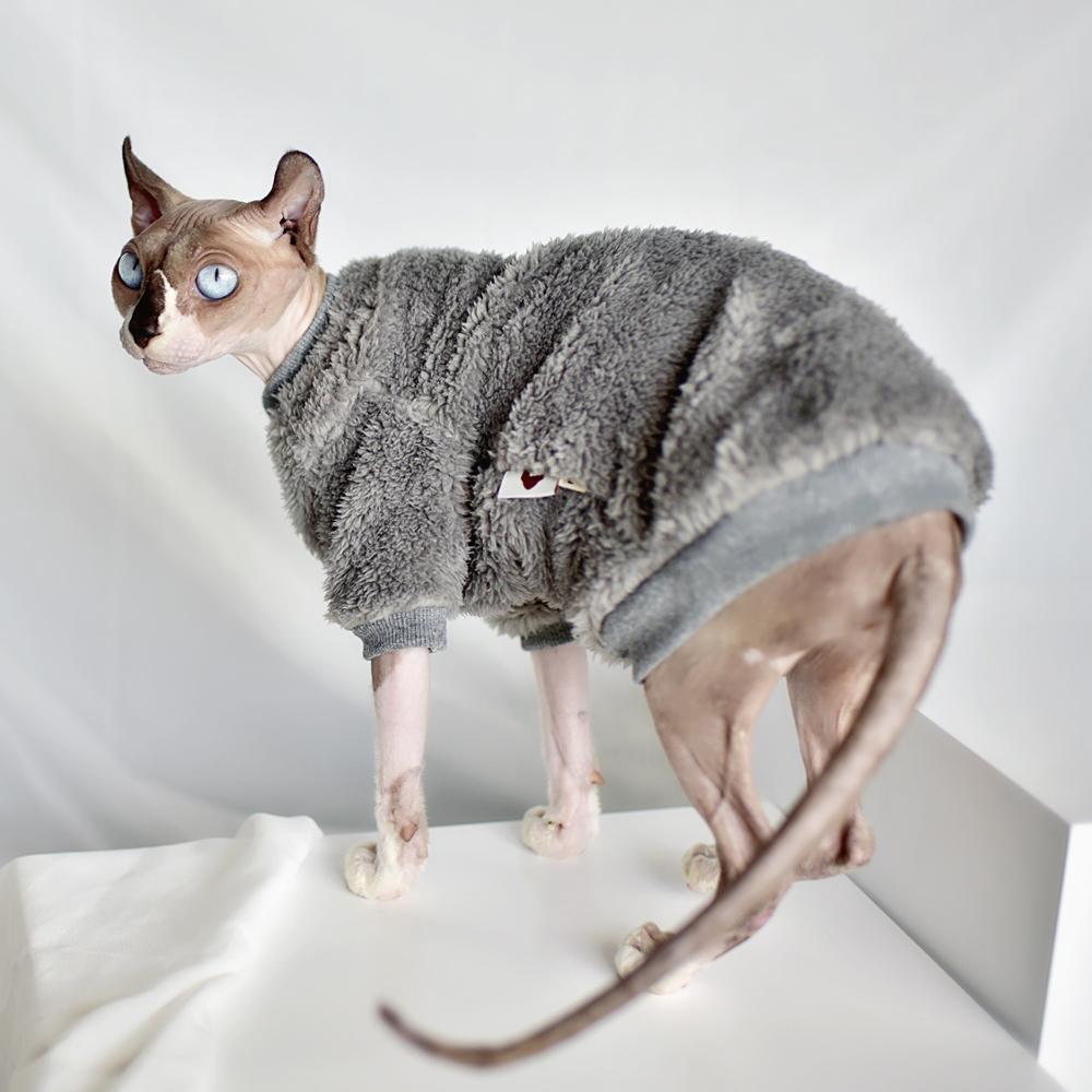 Sphynx Cat Sweater Clothes