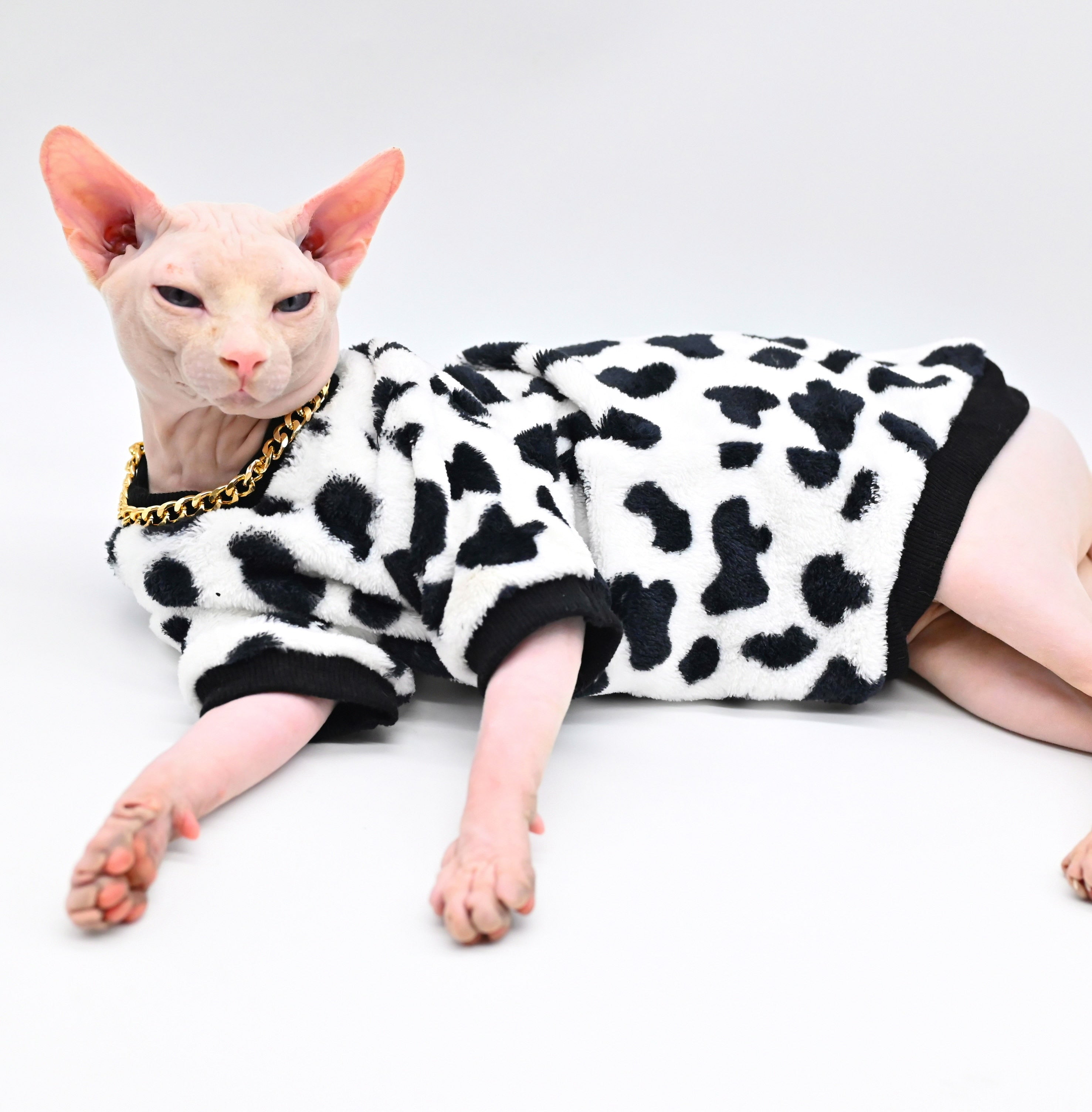 Sphynx Cat Sweater Clothes