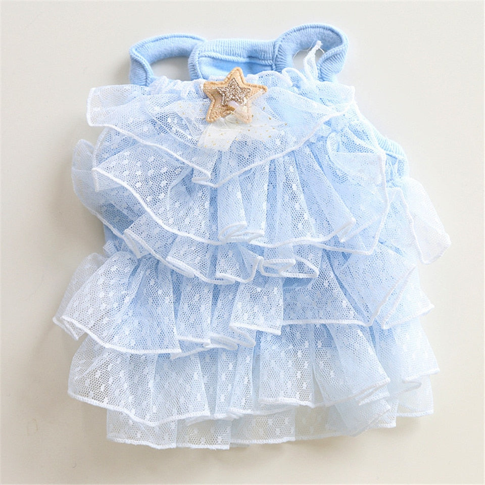 Spring Cat Dress