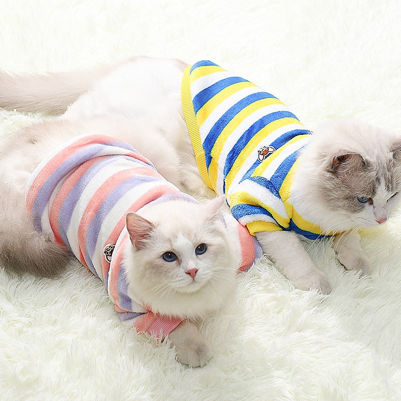 Spring Clothes for Cats