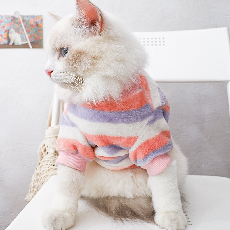 Spring Clothes for Cats
