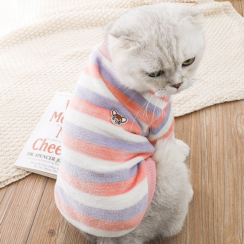 Spring Clothes for Cats