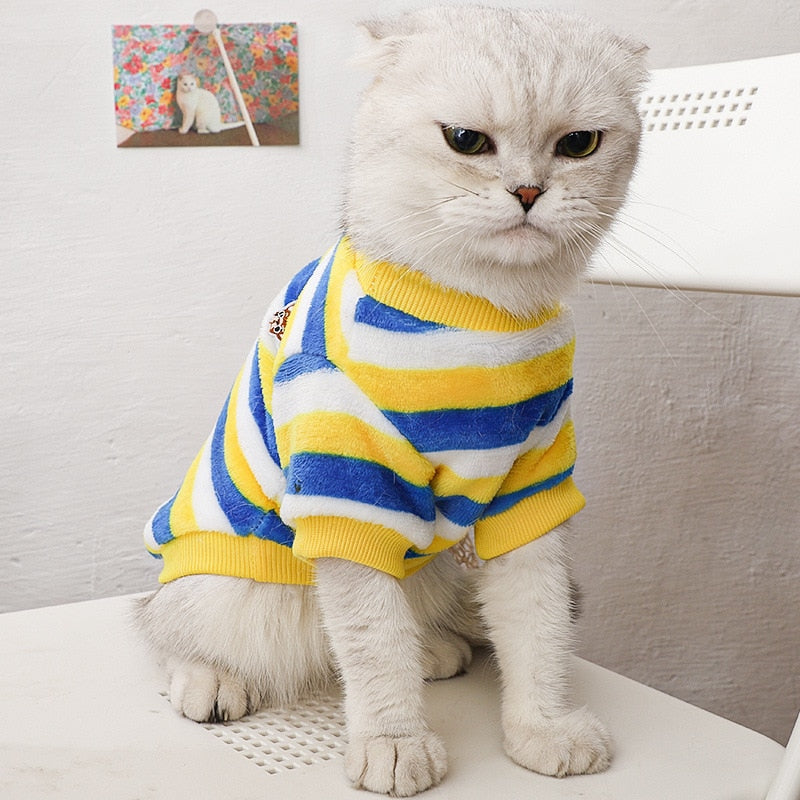 Spring Clothes for Cats