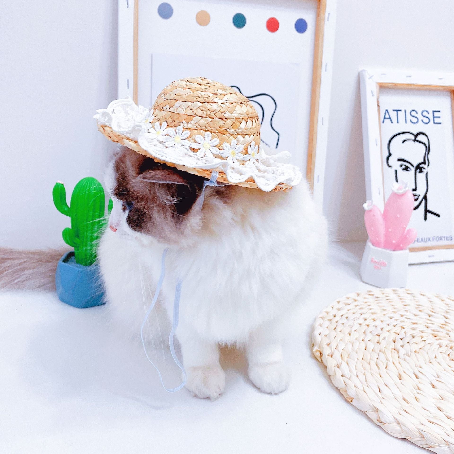 Spring Hat for Cats