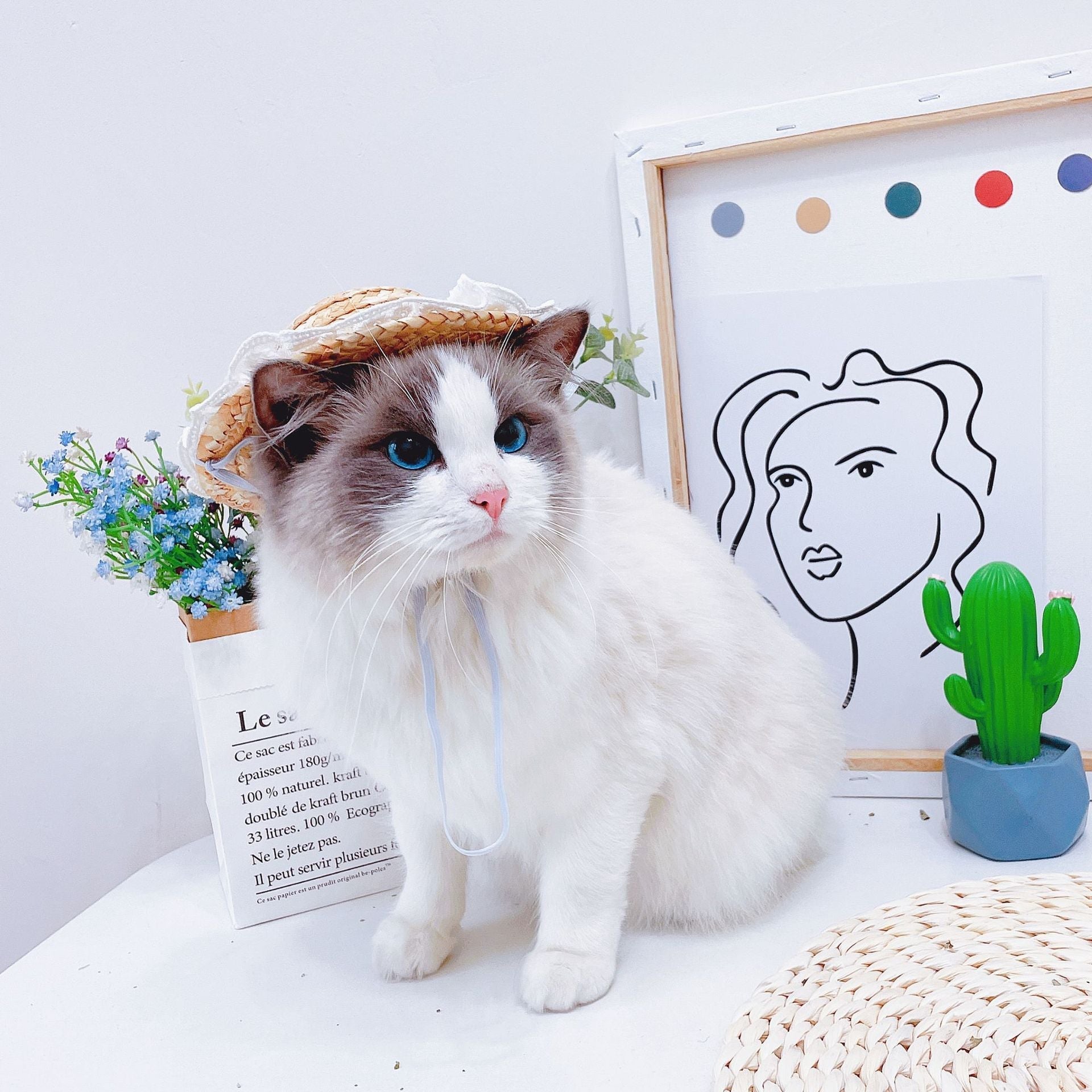 Spring Hat for Cats