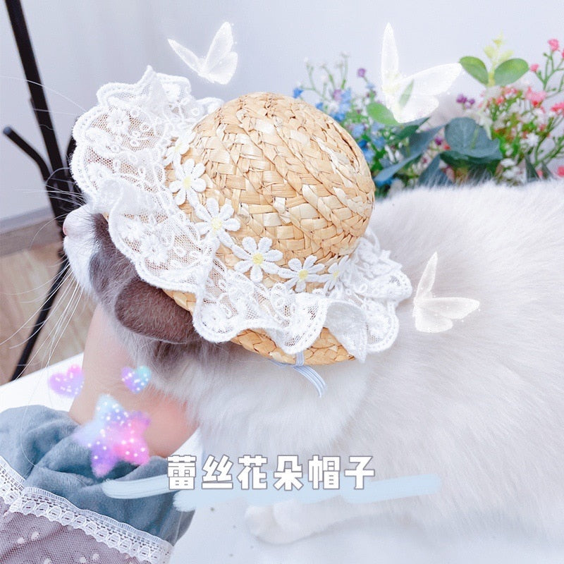 Spring Hat for Cats