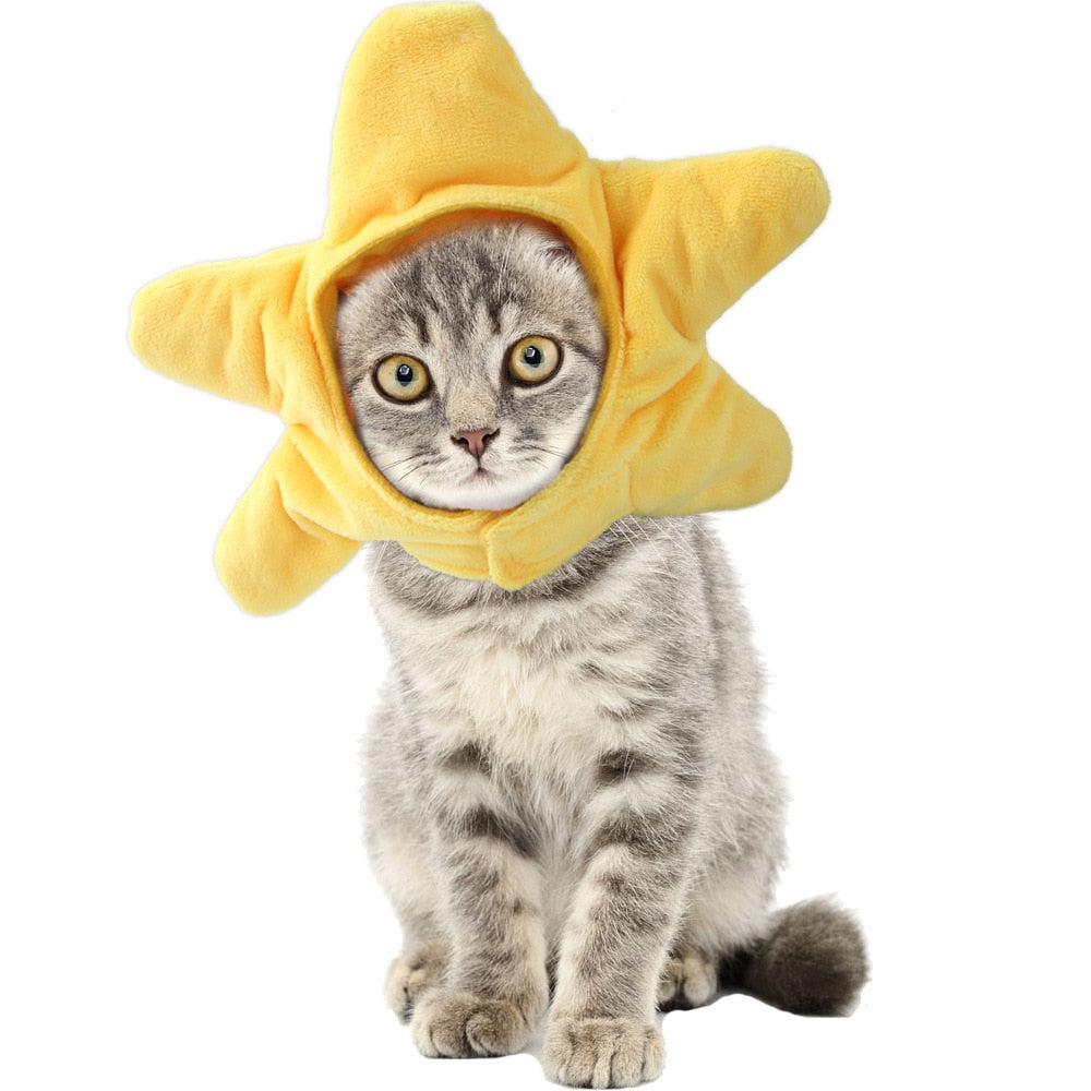 Star Hat for Cats