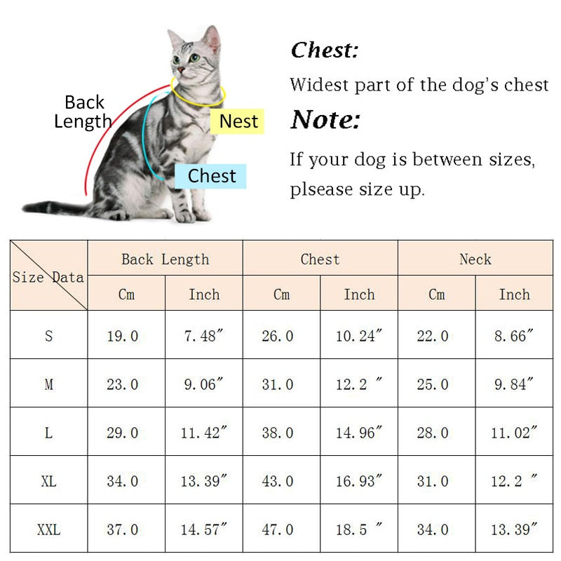 Starry Winter Jacket Clothes for Cats