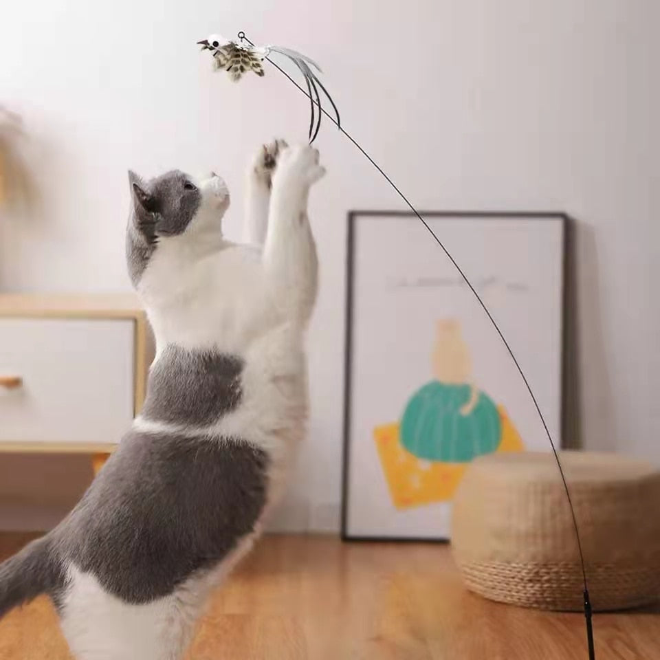 Stick Cat Toy
