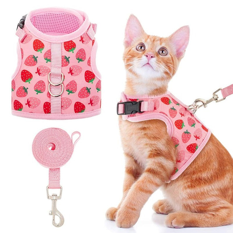 Strawberry Cat Harness