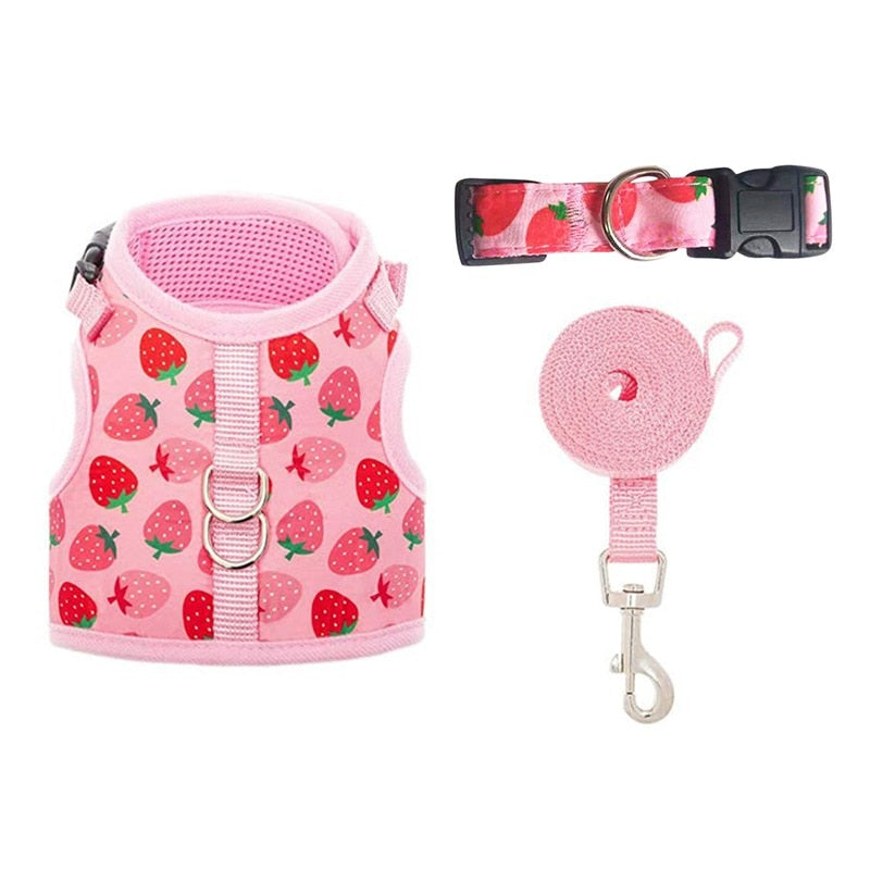 Strawberry Cat Harness