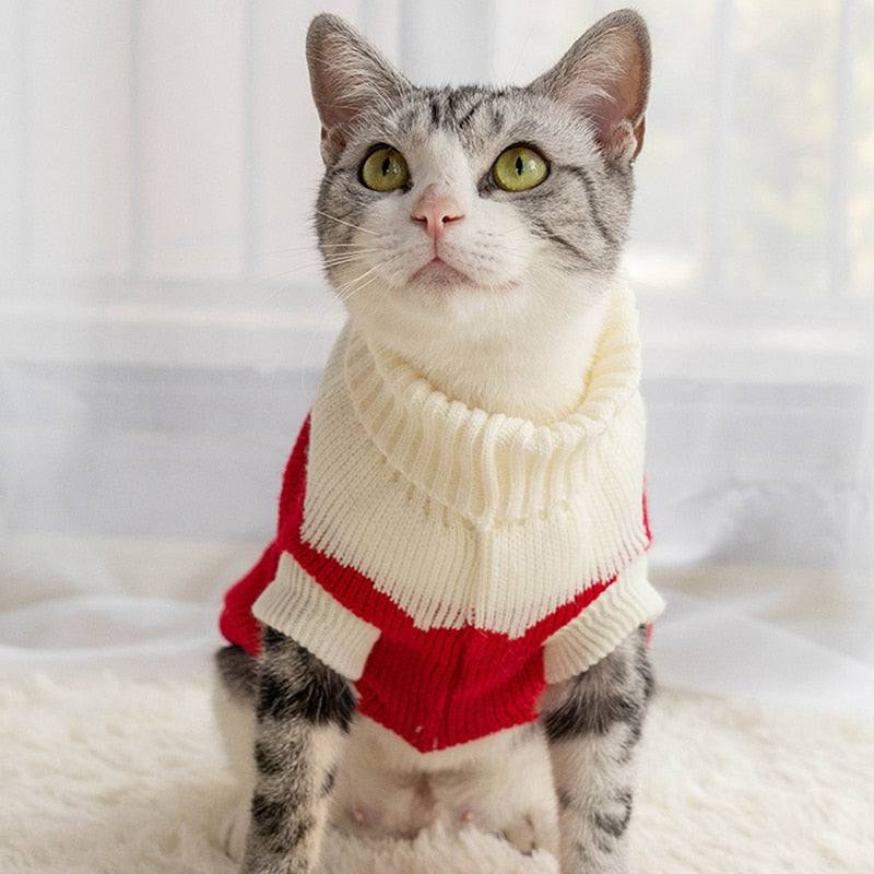 Strawberry Clothes for Cats