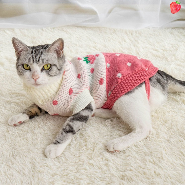 Strawberry Clothes for Cats