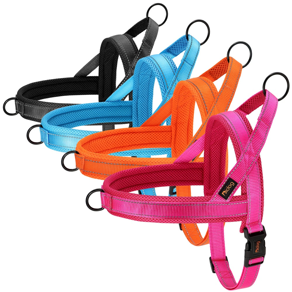 Stray Cat Harness