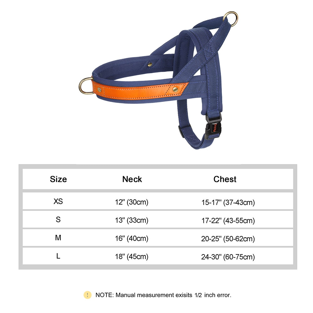 Stray Cat Harness