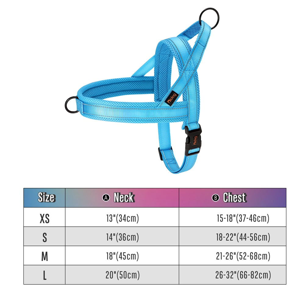 Stray Cat Harness