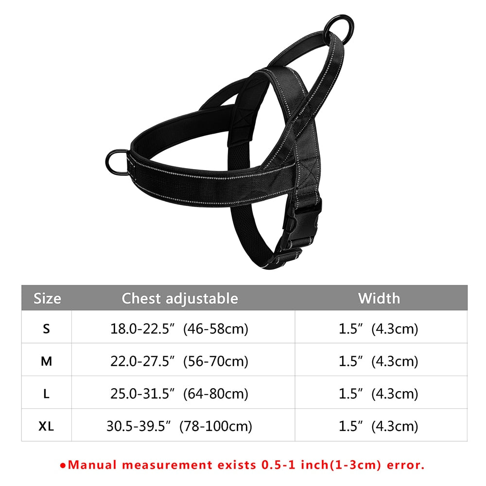 Stray Cat Harness
