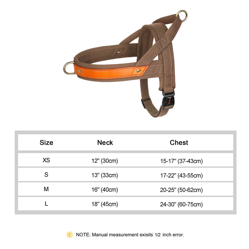 Stray Cat Harness
