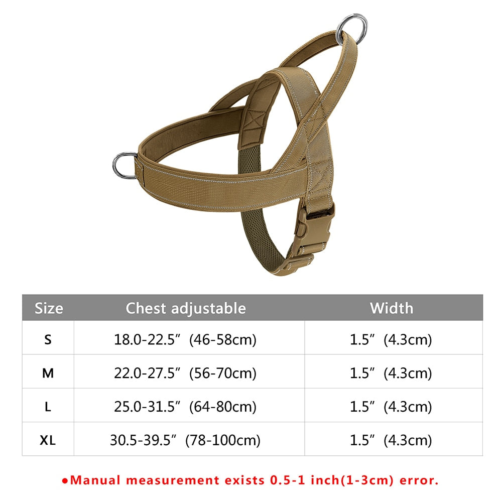 Stray Cat Harness