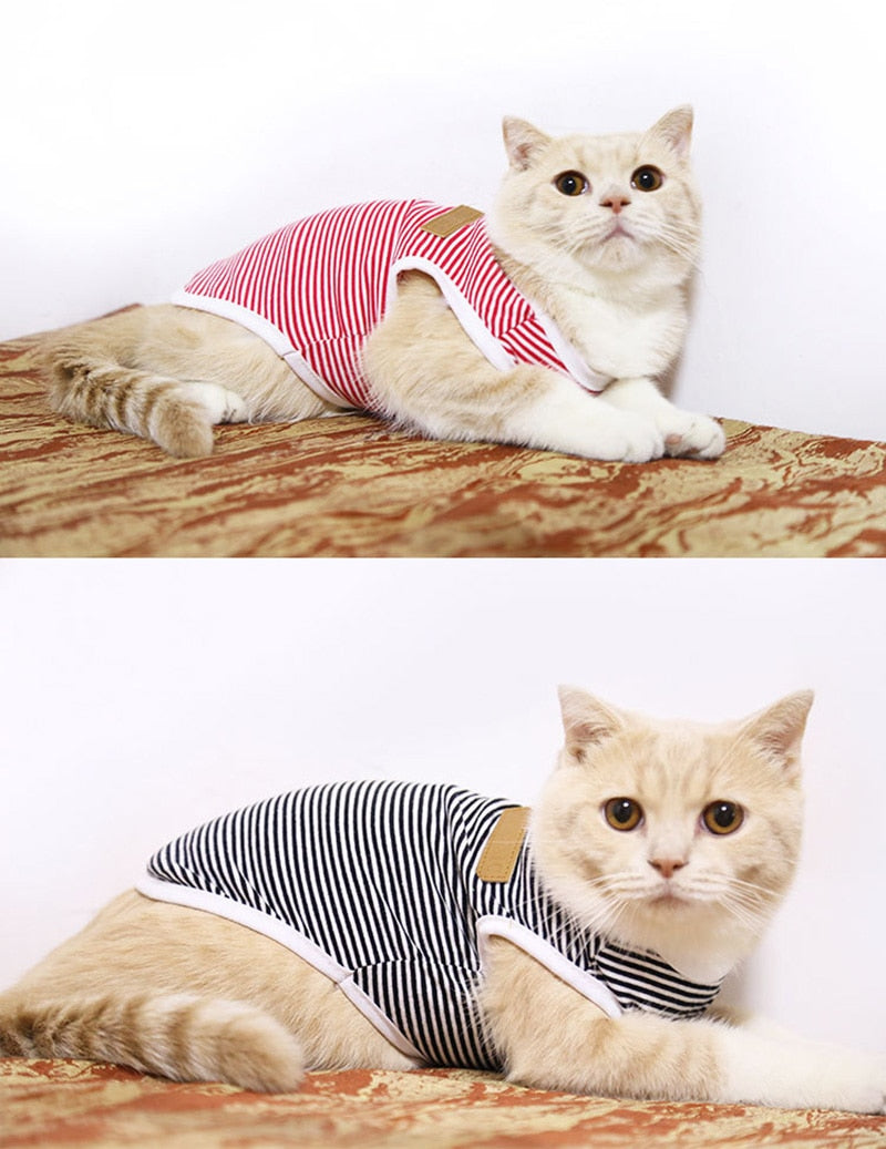 Striped Clothes for Cats