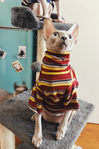Striped Knitted Clothe for Cats