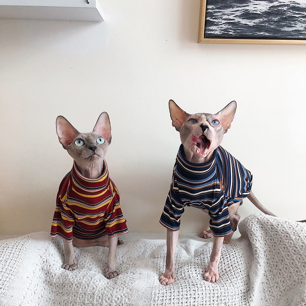 Striped Knitted Clothe for Cats