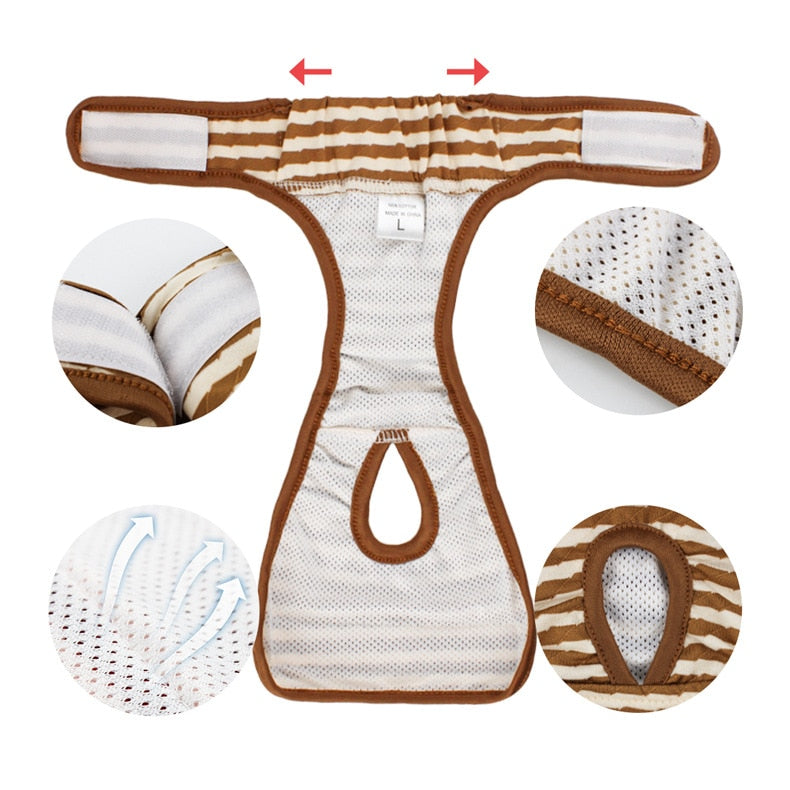 Striped Underwear for Cats