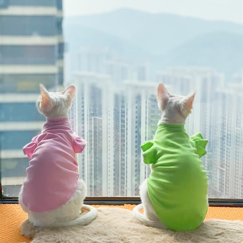 Summer Cat Clothes