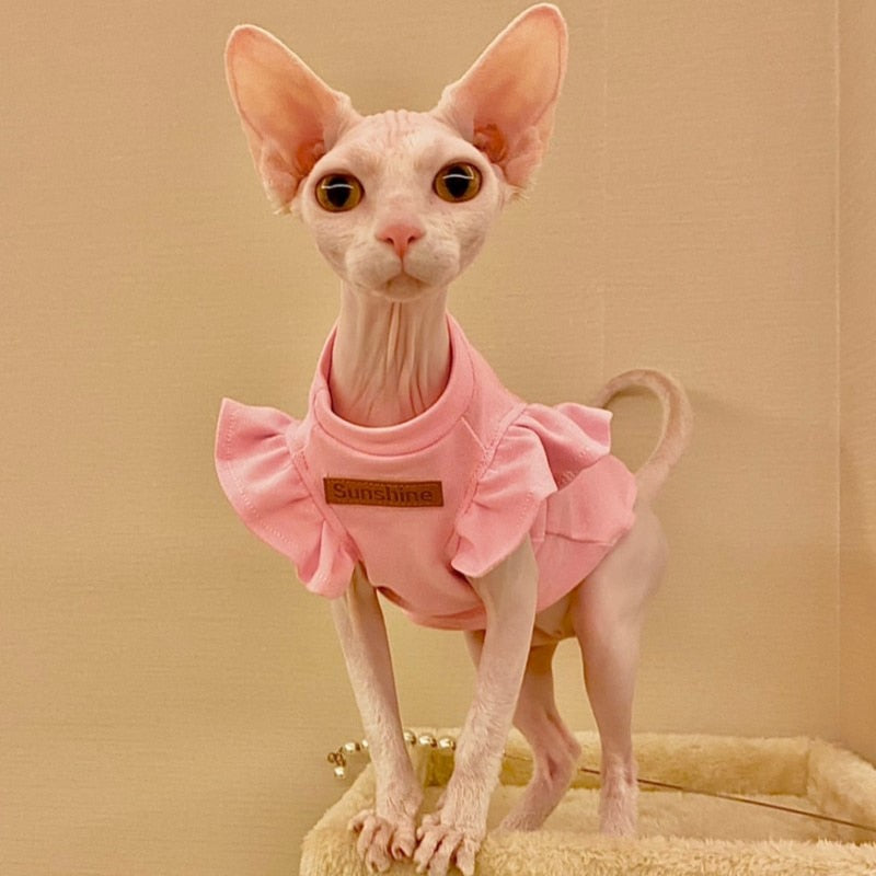 Summer Cat Clothes