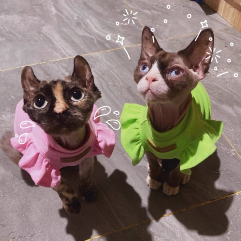 Summer Cat Clothes
