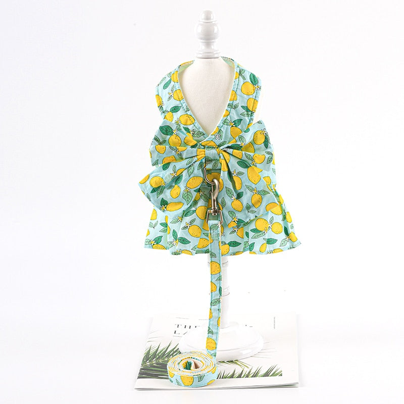 Summer Cat Dress