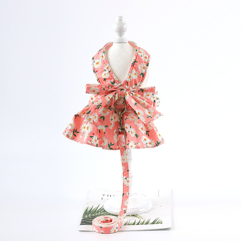 Summer Cat Dress