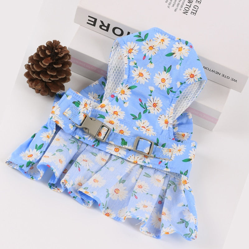 Summer Cat Dress