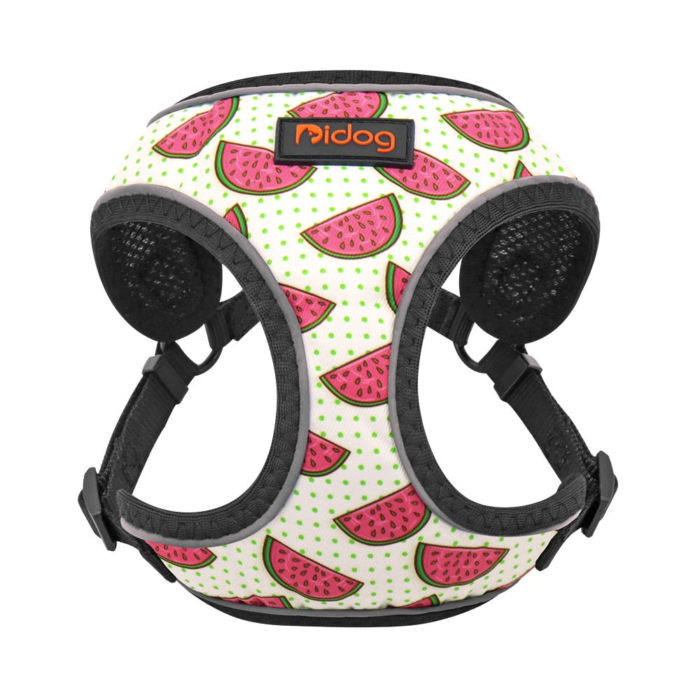 Summer Cat Harness