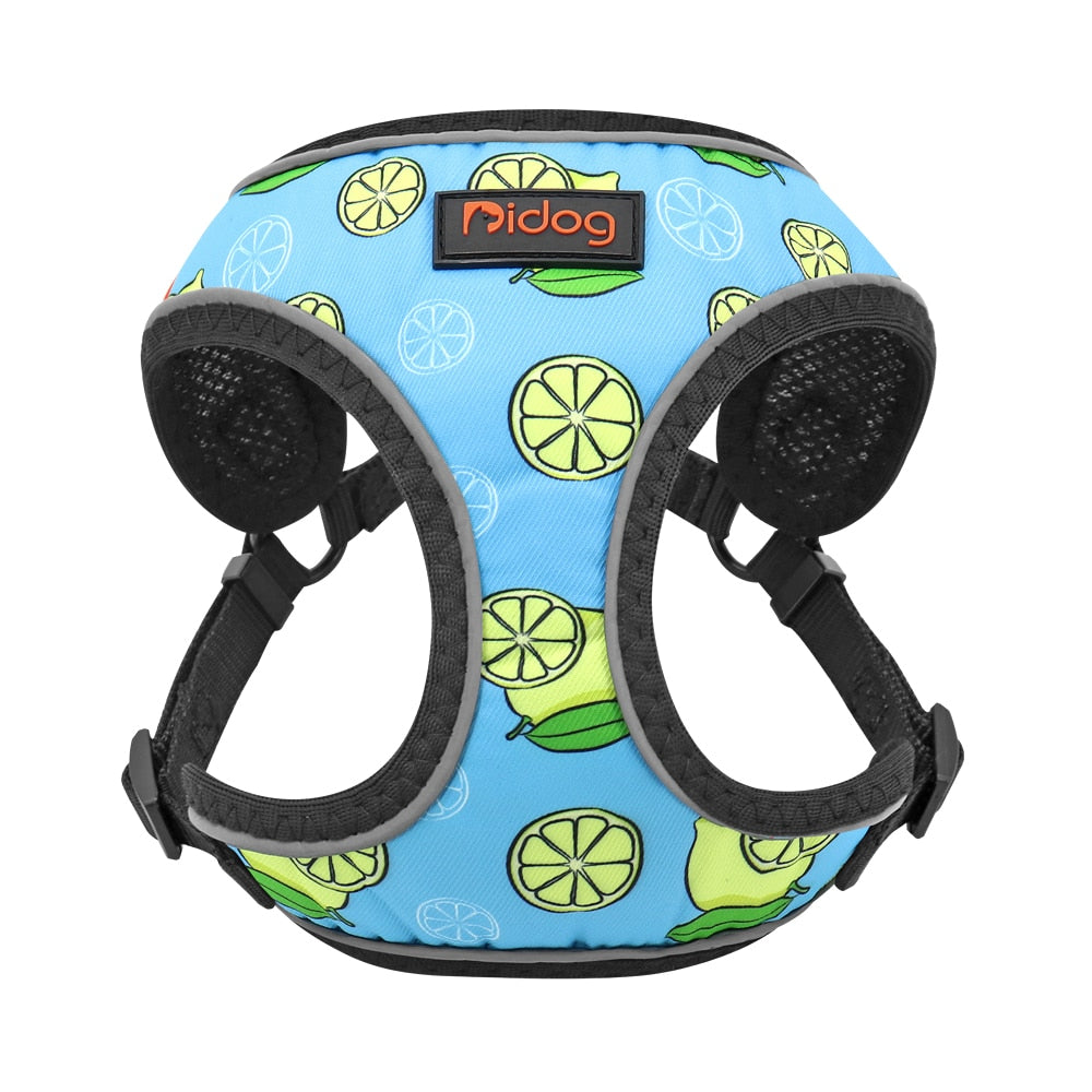 Summer Cat Harness