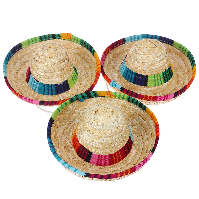 Summer Hat for Cats