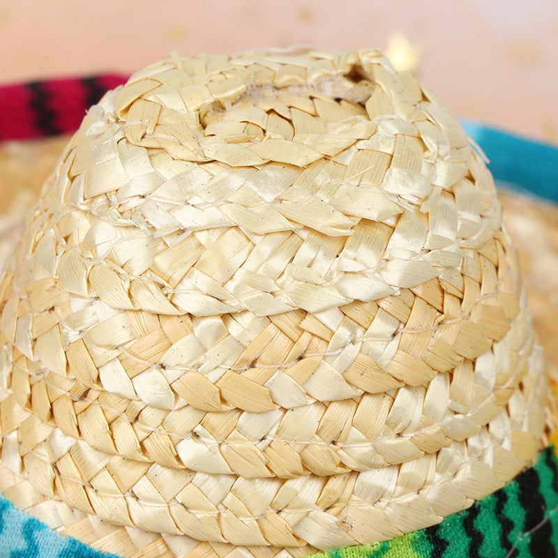 Summer Hat for Cats