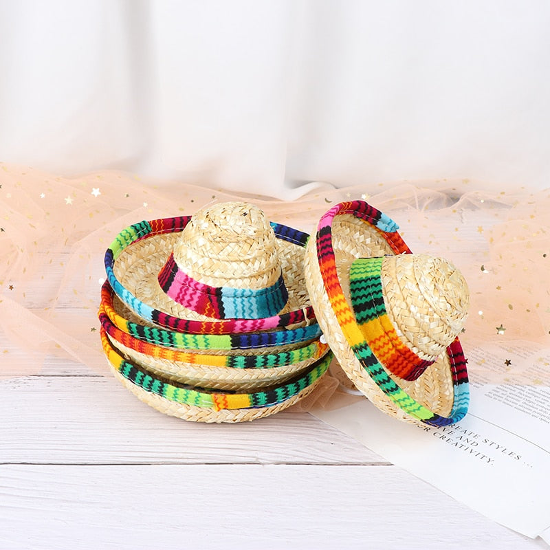 Summer Hat for Cats
