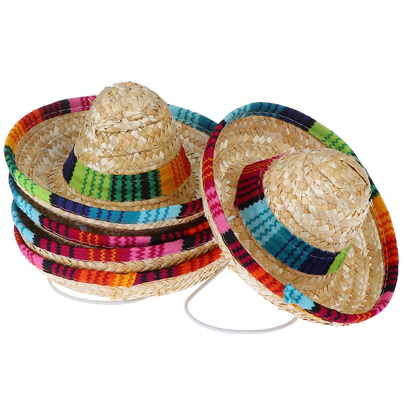 Summer Hat for Cats