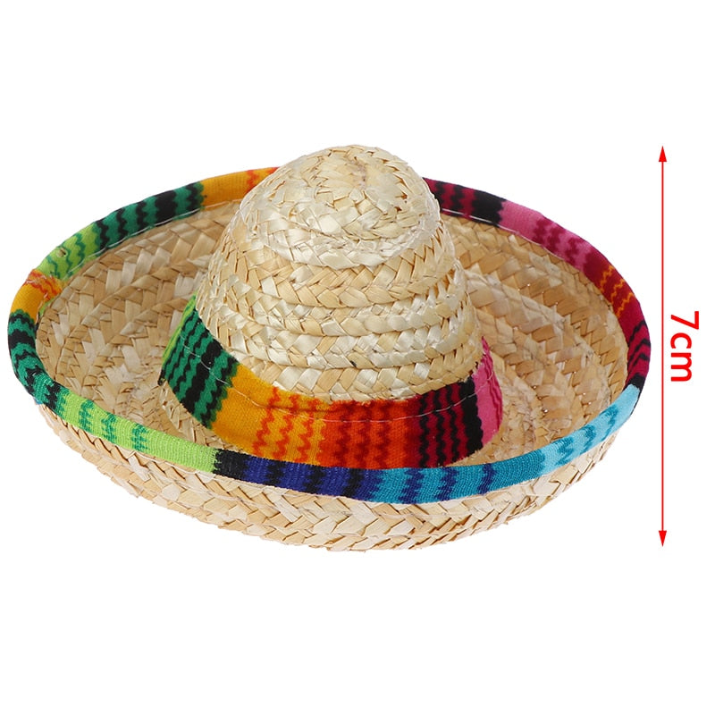 Summer Hat for Cats