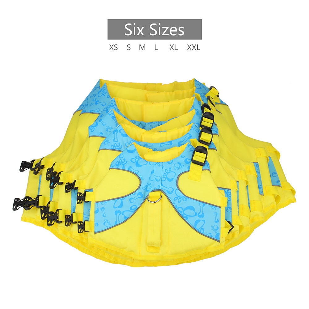 Summer Life Jacket Cat